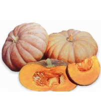 Pumpkin / Kaddoo UN Asha 50 grams